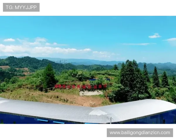 多宝电子集团简介：公司历史沿革、技术创新能力与未来发展规划分析